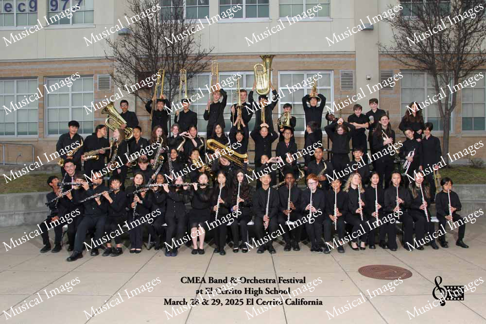 Musical Images